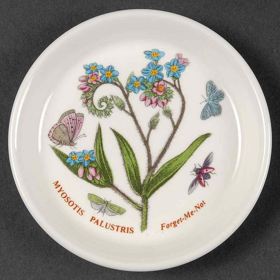 Botanic Garden Coaster by Portmeirion-1