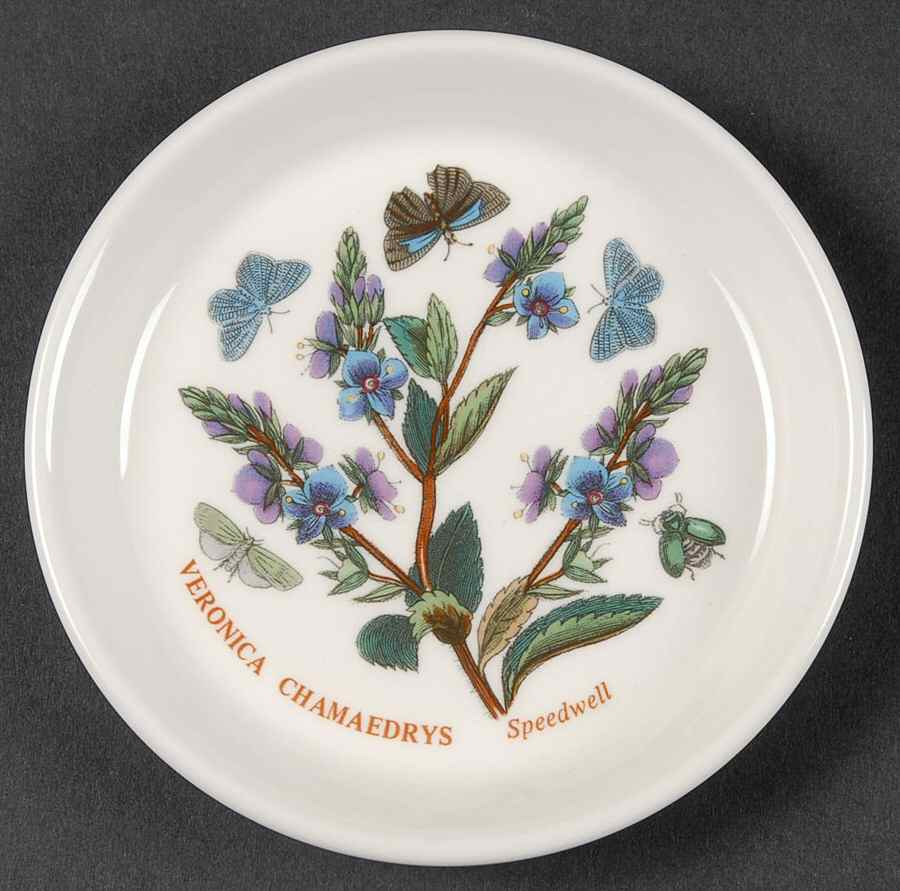 Botanic Garden Coaster by Portmeirion-1