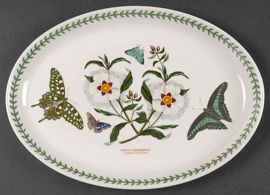 Botanic Garden 13" Oval Steak Platter by Portmeirion-1