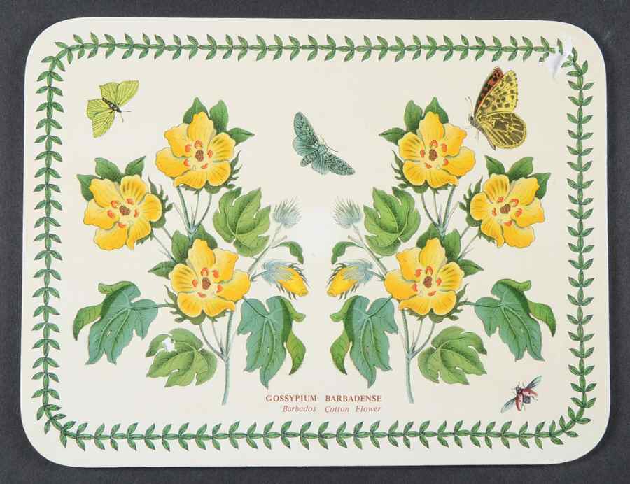 Botanic Garden 10" Rectangular Corkboard Placemat by Portmeirion-1