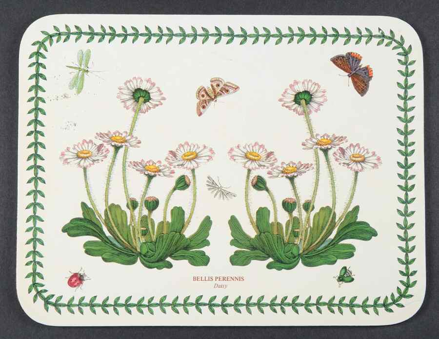 Botanic Garden 10" Rectangular Corkboard Placemat by Portmeirion-1