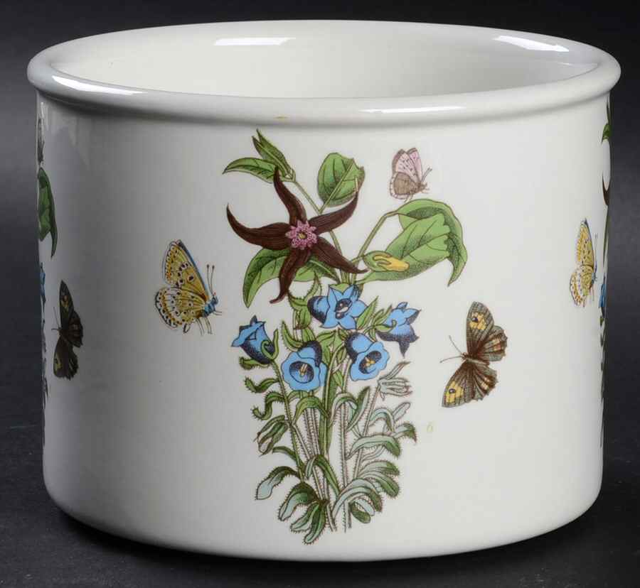 Botanic Garden 4" Storage Jar No Ceramic Lid by Portmeirion-1
