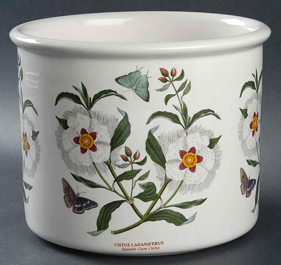 Botanic Garden 6" Planter Pot by Portmeirion-1