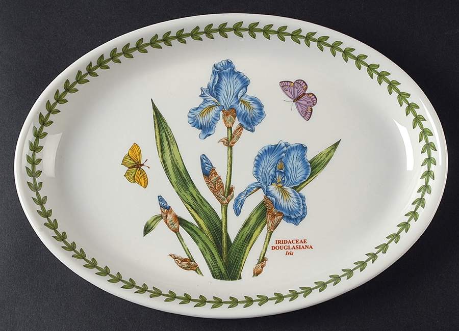 Botanic Garden 10" Oval Steak Platter by Portmeirion-1