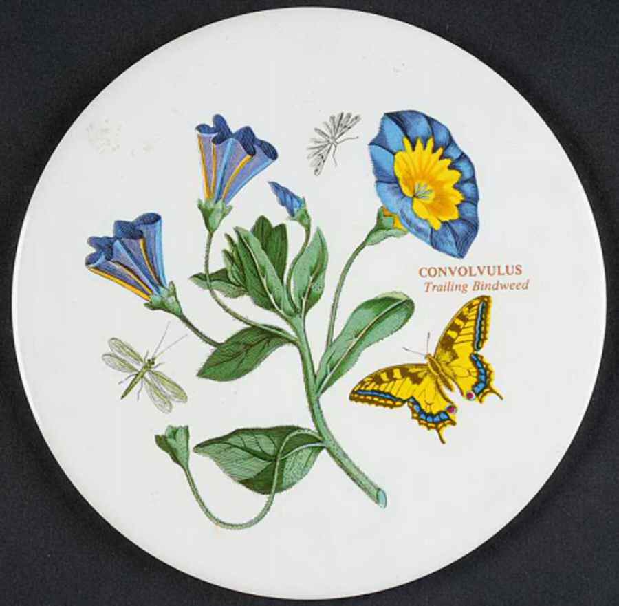 Botanic Garden 6" Round Trivet by Portmeirion-1
