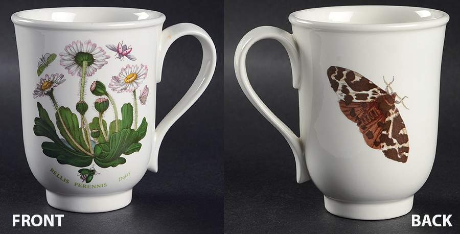 Botanic Garden Beaker (English Mug) by Portmeirion-1