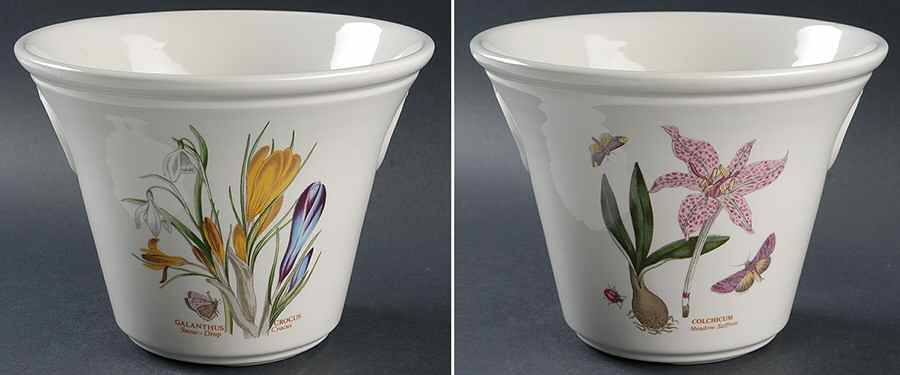 Botanic Garden 6" Flared Planter by Portmeirion-1