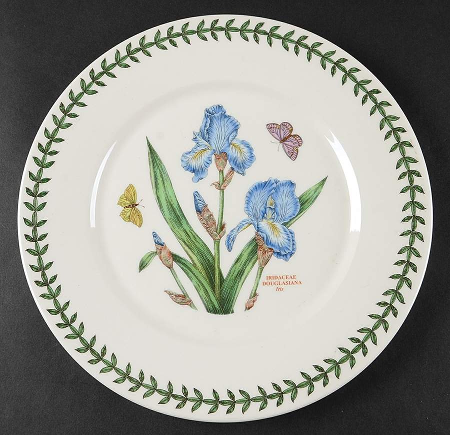 Botanic Garden Flat Dinner Plate with Large Rim by Portmeirion-1