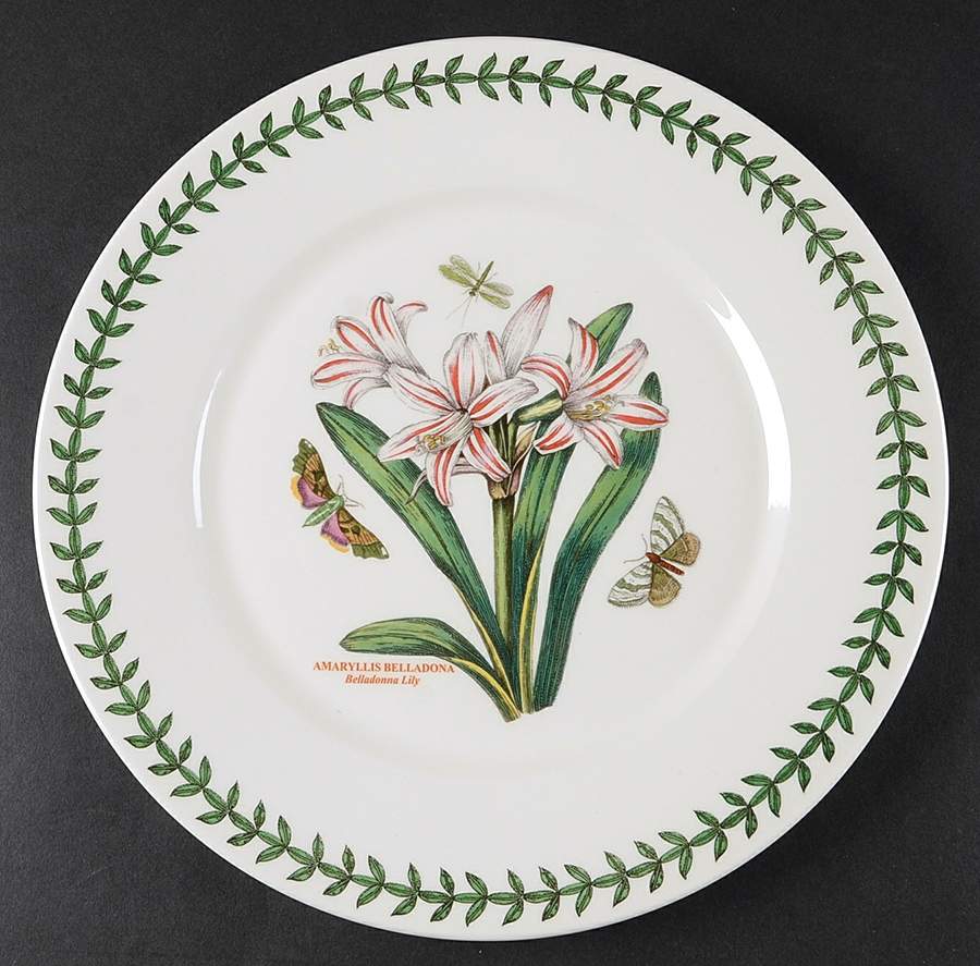 Botanic Garden Flat Dinner Plate with Large Rim by Portmeirion-1