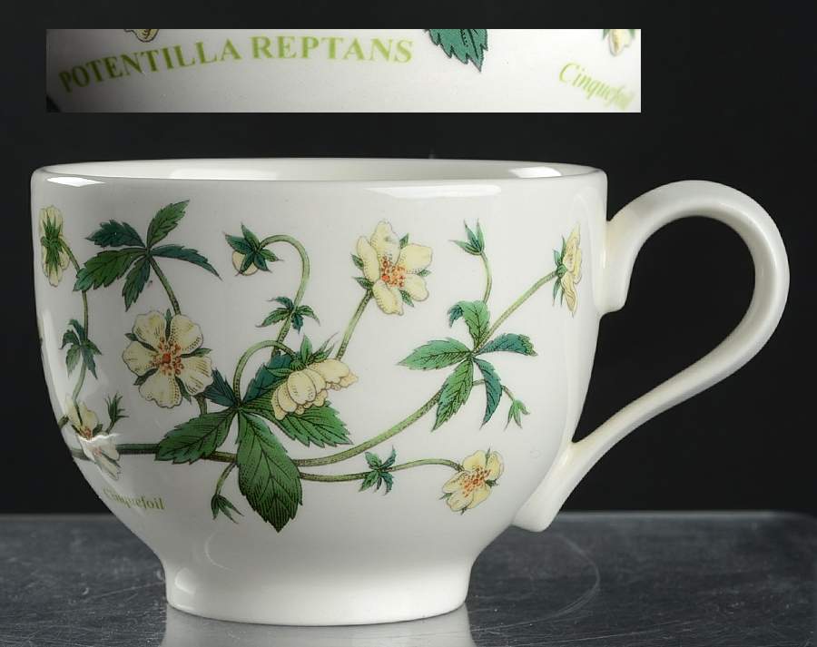 Botanic Garden Traditional Footed Cup by Portmeirion-1