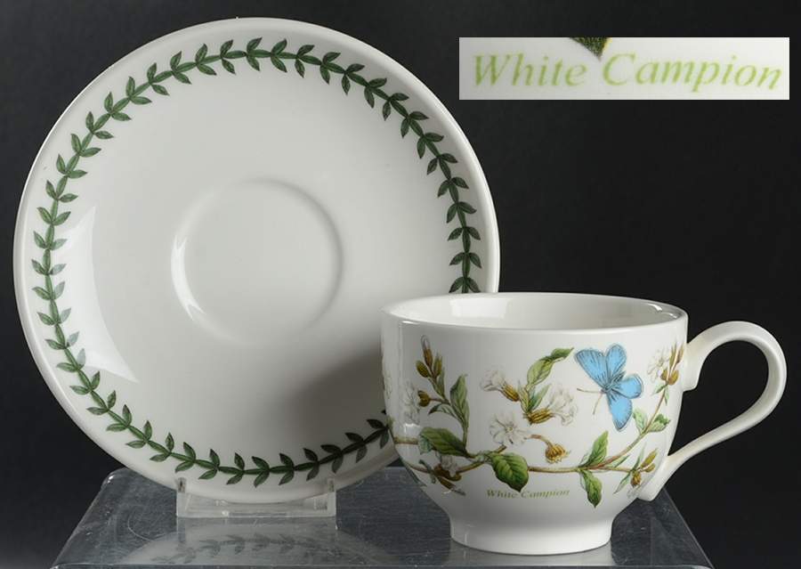 Botanic Garden Traditional Footed Cup & Saucer Set by Portmeirion-1