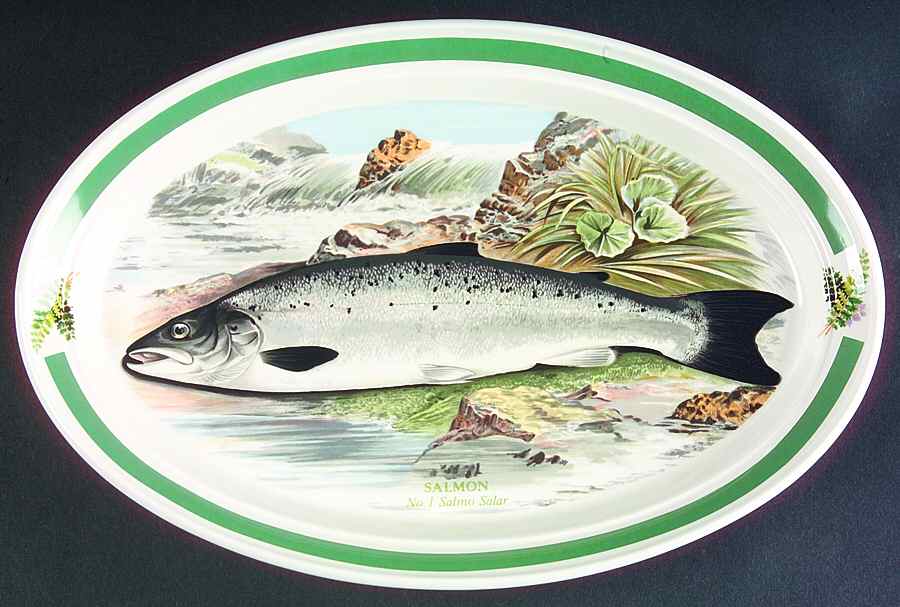 Compleat Angler Band 10" Oval Steak Platter by Portmeirion-1