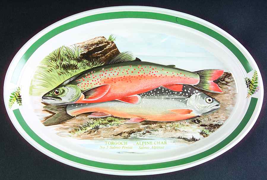 Compleat Angler Band 10" Oval Steak Platter by Portmeirion-1