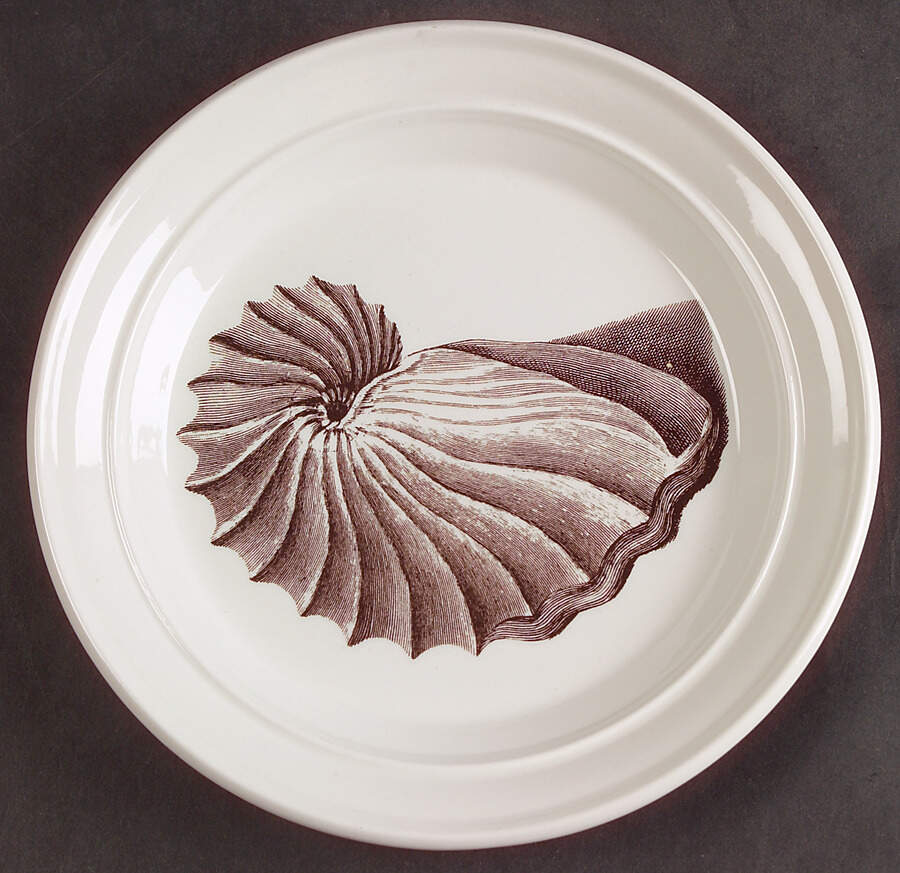 Kingdom of The Sea Salad Plate by Portmeirion-1