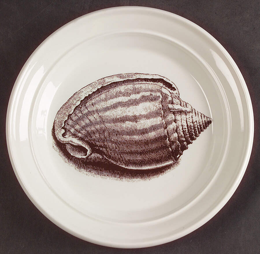 Kingdom of The Sea Salad Plate by Portmeirion-1