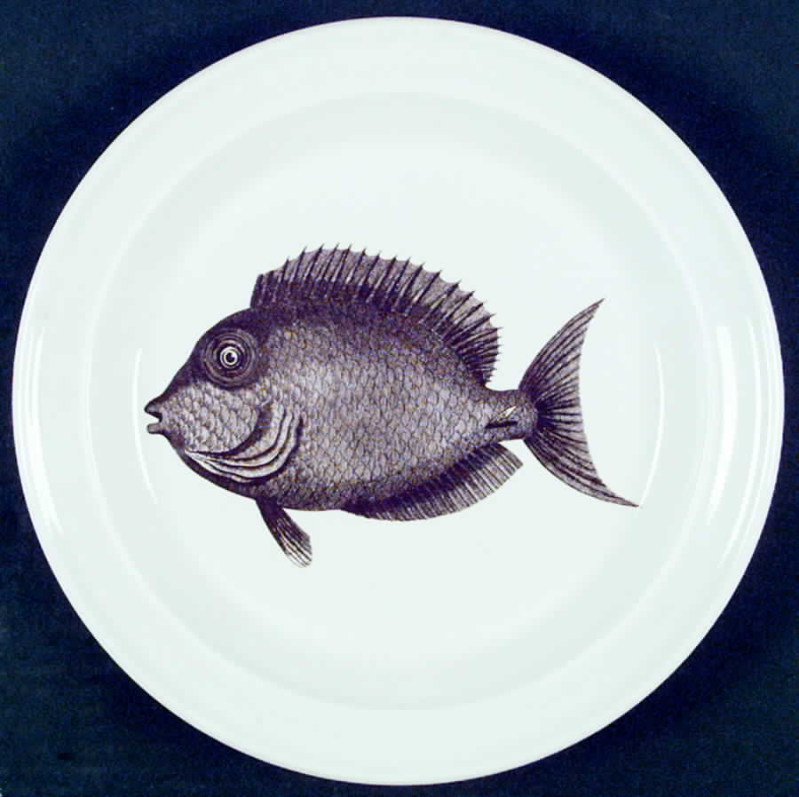 Kingdom of The Sea Dinner Plate by Portmeirion-1
