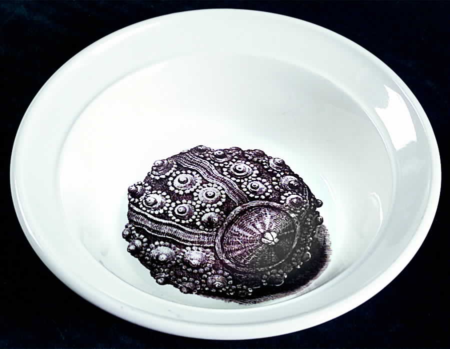 Kingdom of The Sea Rim Cereal Bowl by Portmeirion-1