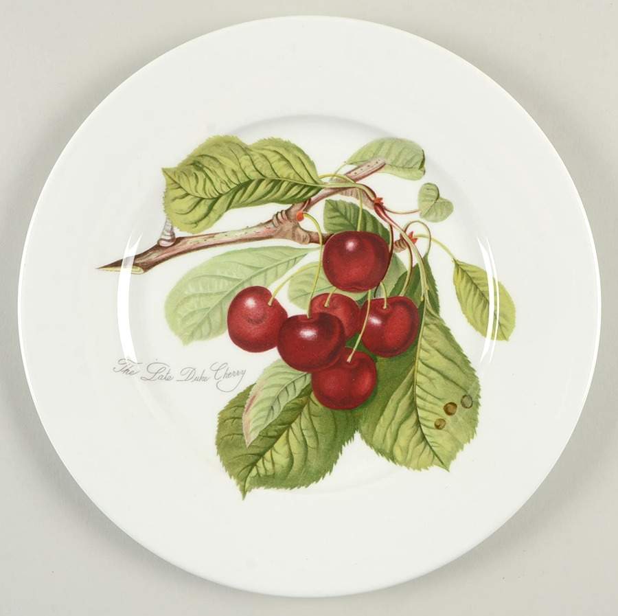 Pomona Luncheon Plate by Portmeirion-1