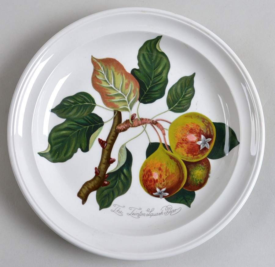 Pomona Salad Plate by Portmeirion-1