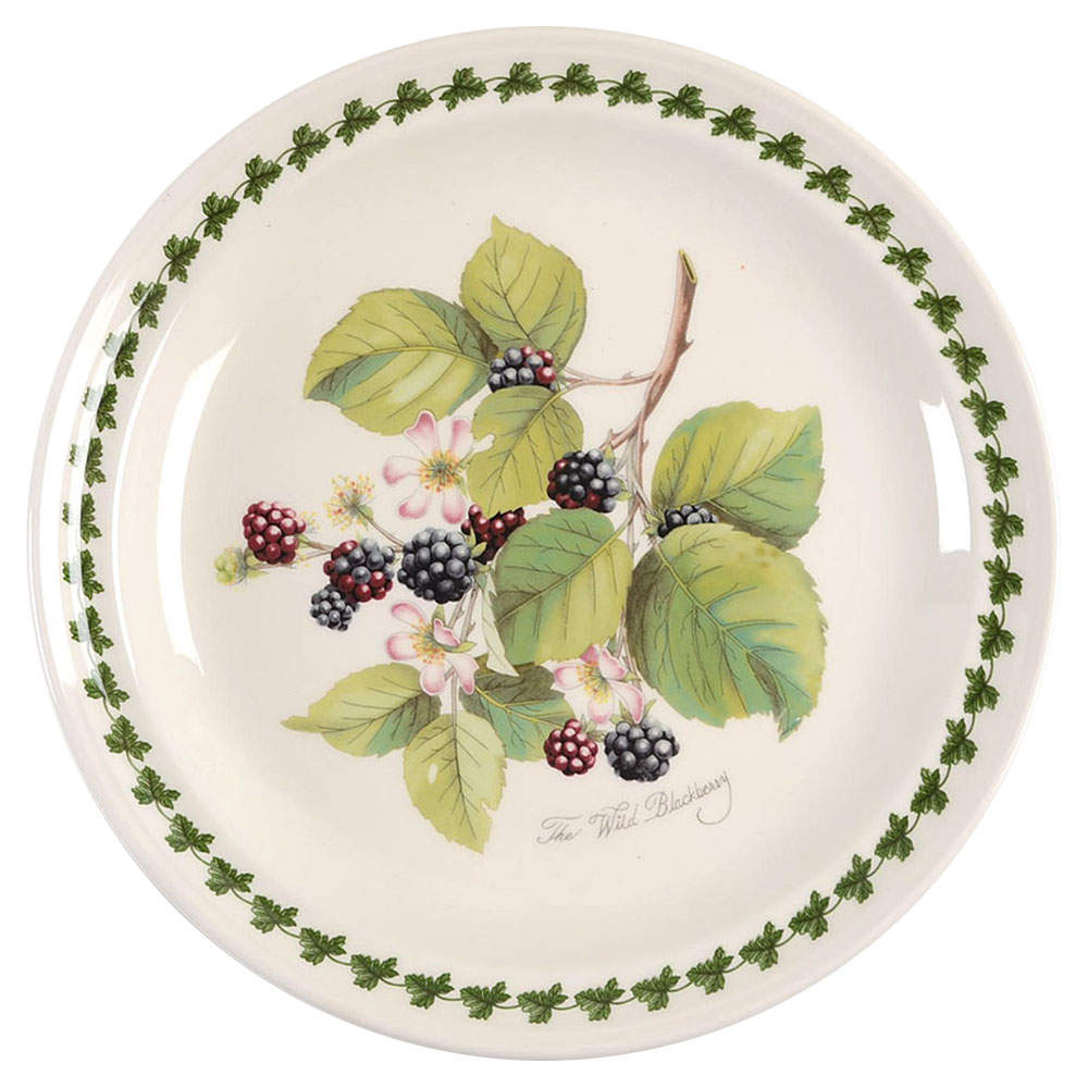 Pomona Dinner Plate w/Border Design by Portmeirion-1