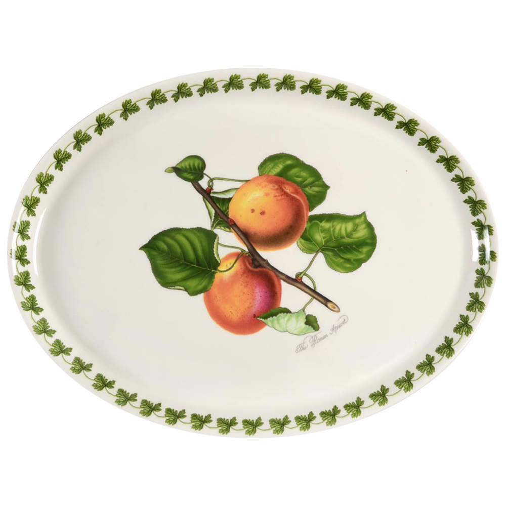 Pomona 14" Oval Steak Platter with Laurel Border by Portmeirion-1
