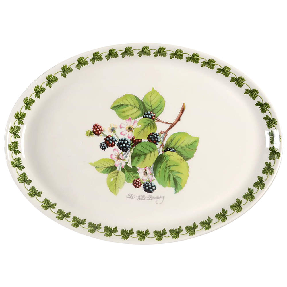 Pomona 13" Oval Steak Platter with Laurel Border by Portmeirion-1