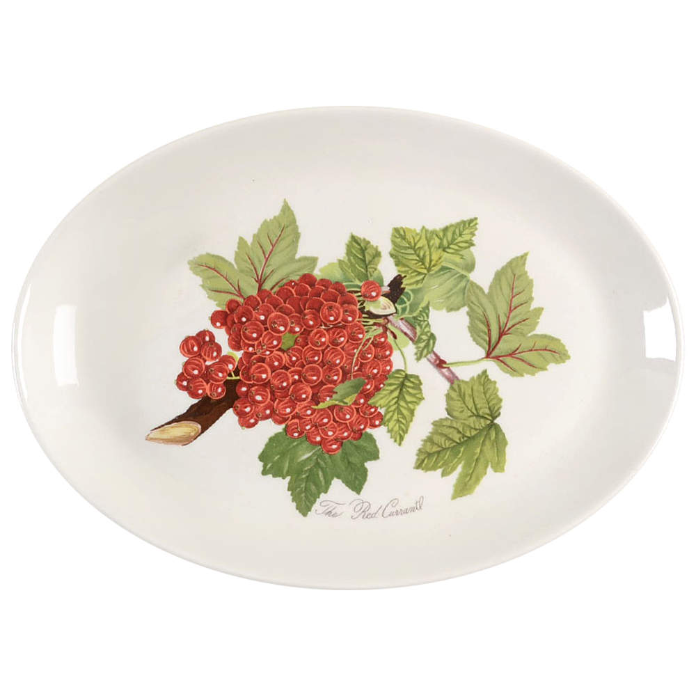 Pomona 10" Oval Steak Platter by Portmeirion-1