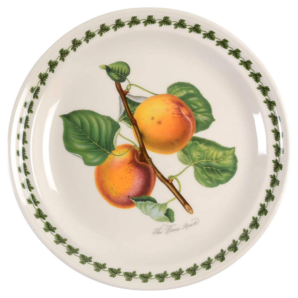 Pomona Dinner Plate w/Border Design by Portmeirion-1