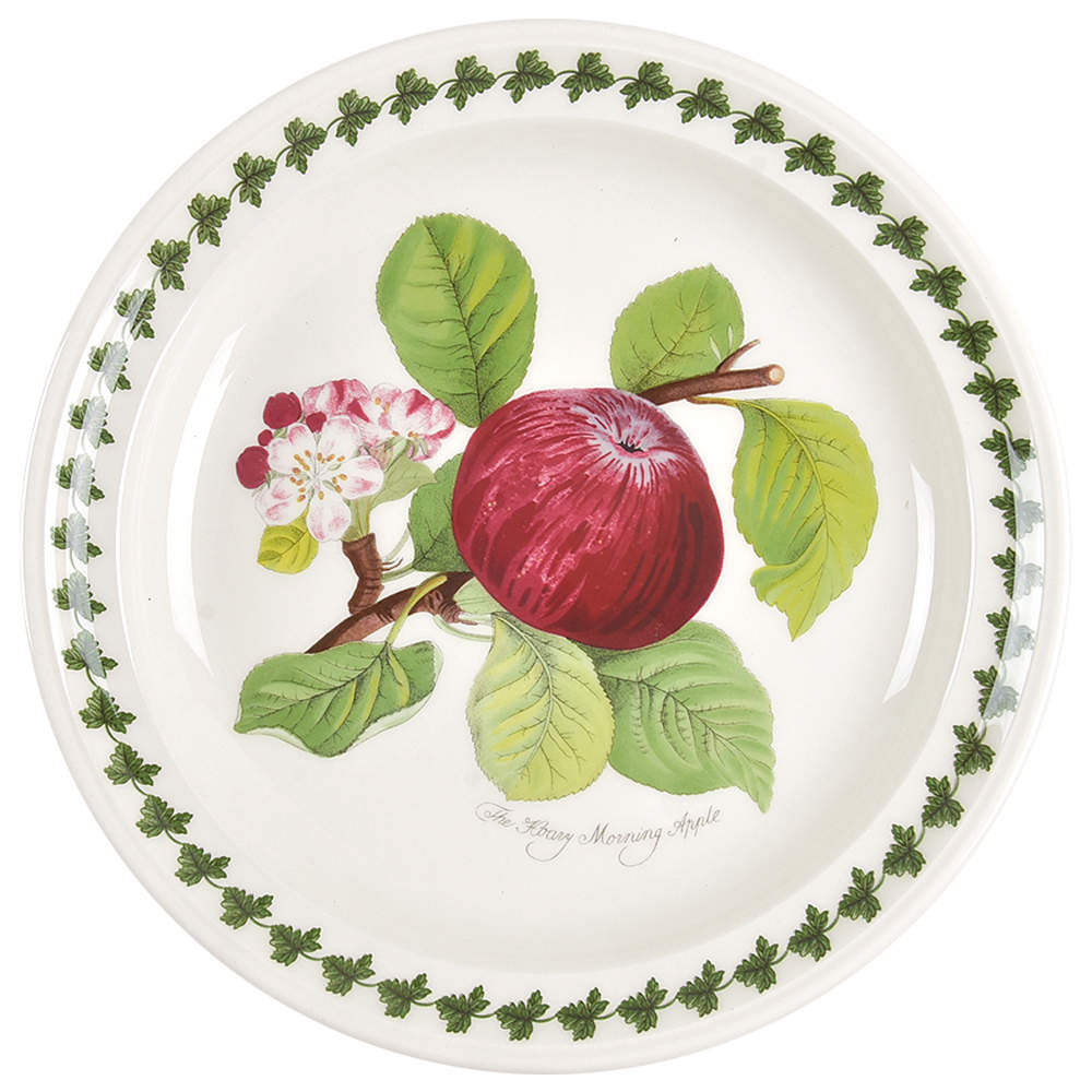 Pomona Salad Plate with Border by Portmeirion-1