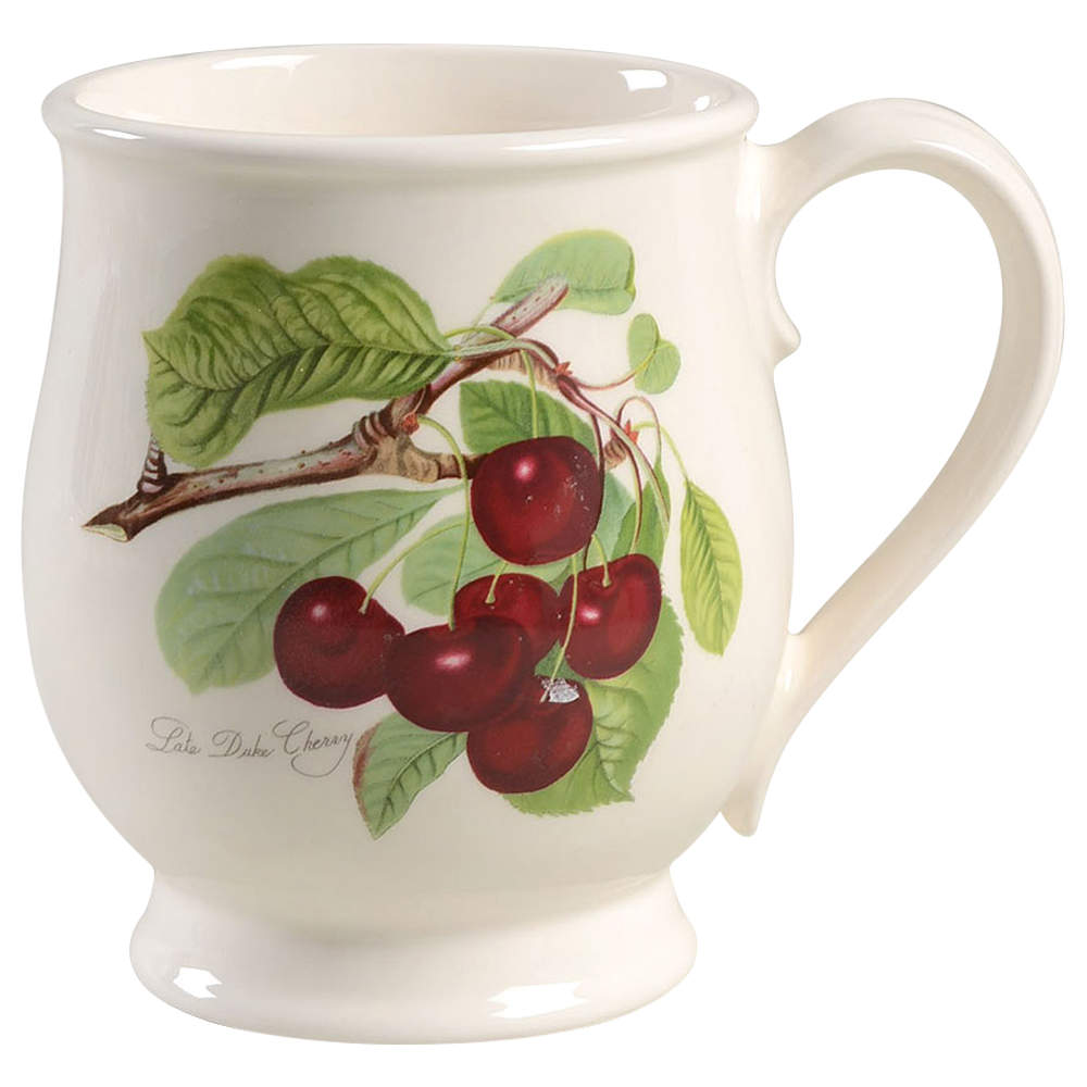 Pomona Bristol Mug by Portmeirion-1