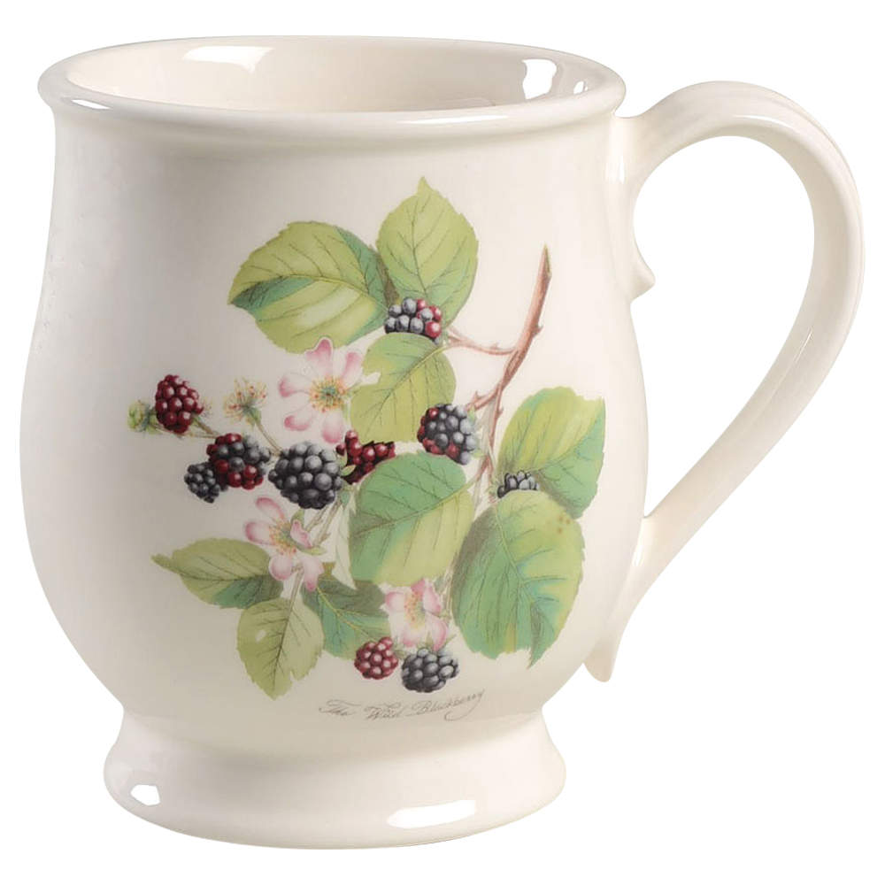 Pomona Bristol Mug by Portmeirion-1