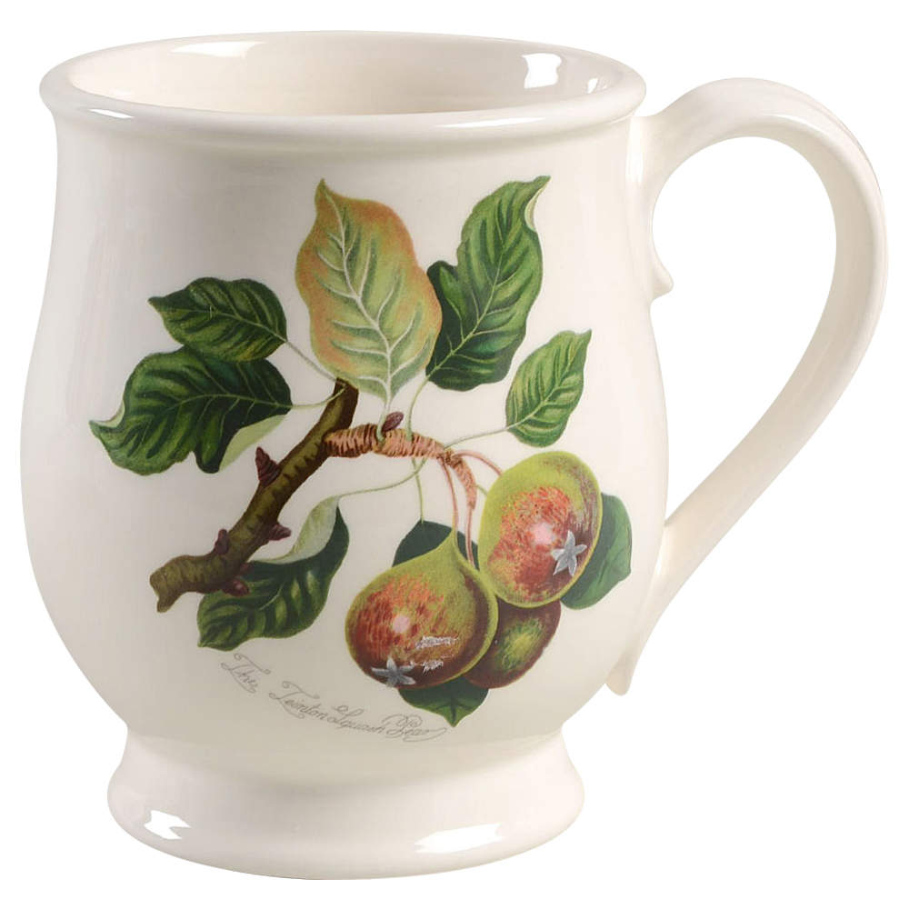 Pomona Bristol Mug by Portmeirion-1