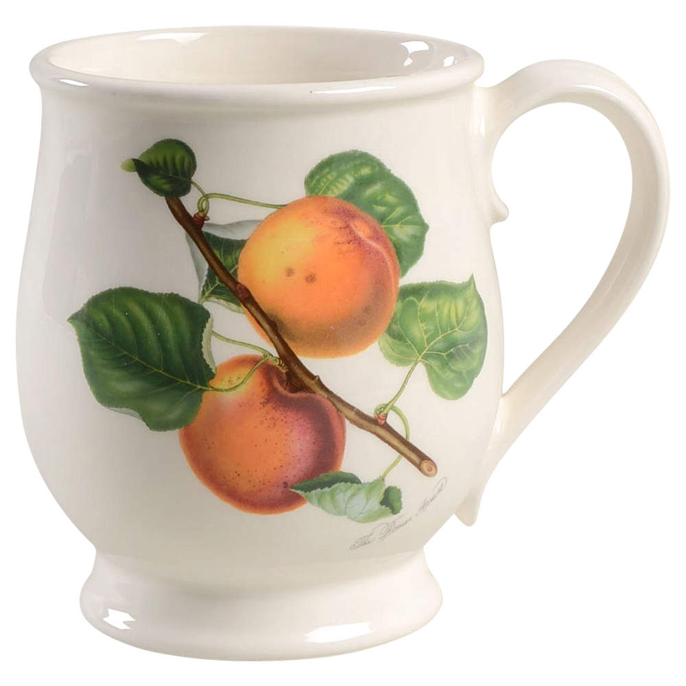 Pomona Bristol Mug by Portmeirion-1