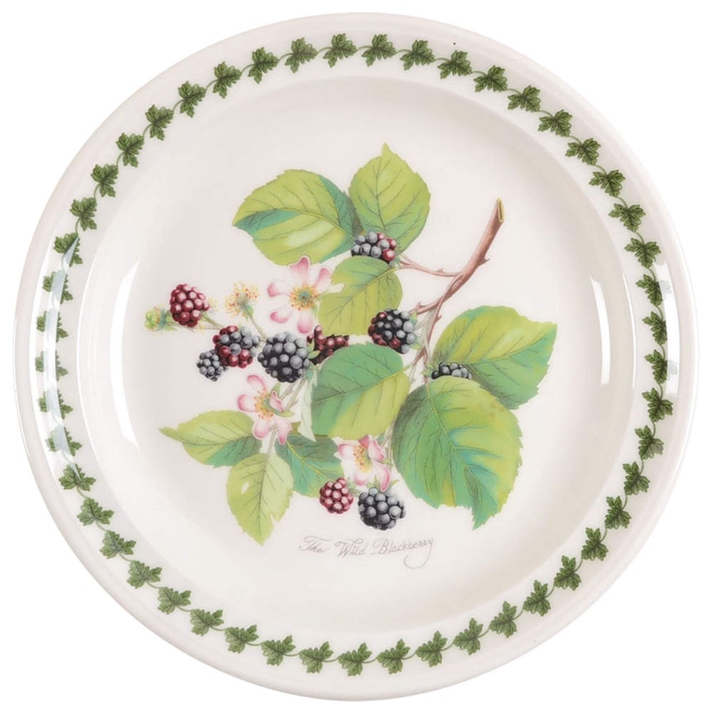 Pomona Salad Plate with Border by Portmeirion-1