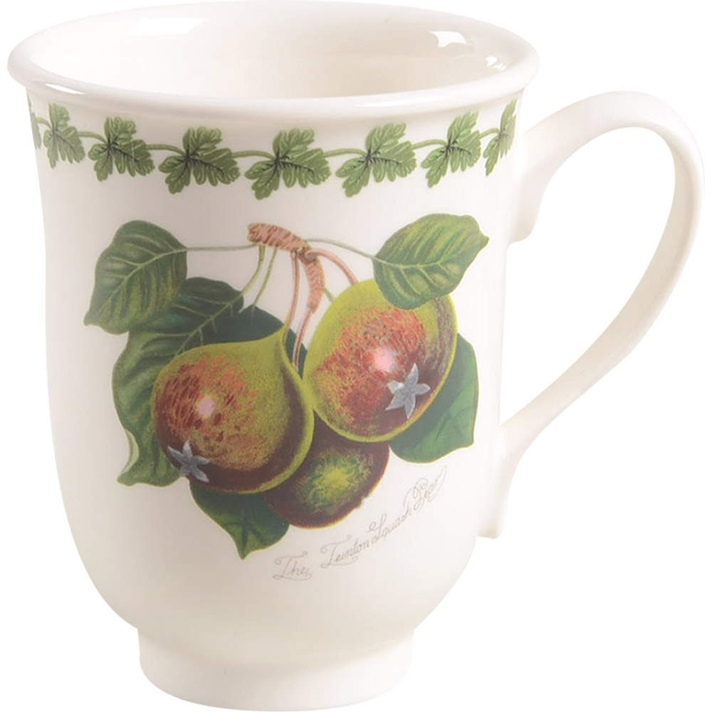 Pomona Beaker (English Mug) with Border by Portmeirion-1