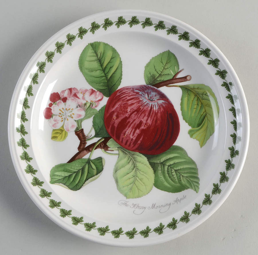 Pomona Large Design Salad Plate w/Border by Portmeirion-1