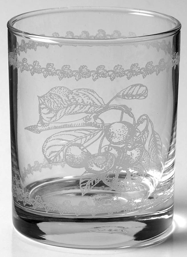 Pomona 8 Oz Glassware Etch Tumbler by Portmeirion-1