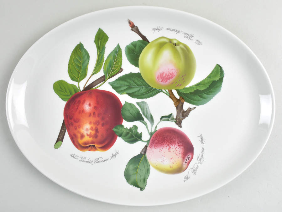 Pomona 14" Oval Steak Platter by Portmeirion-1