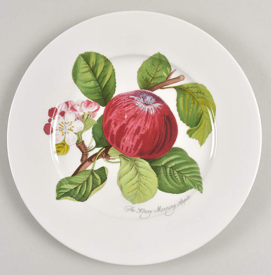 Pomona Luncheon Plate by Portmeirion-1