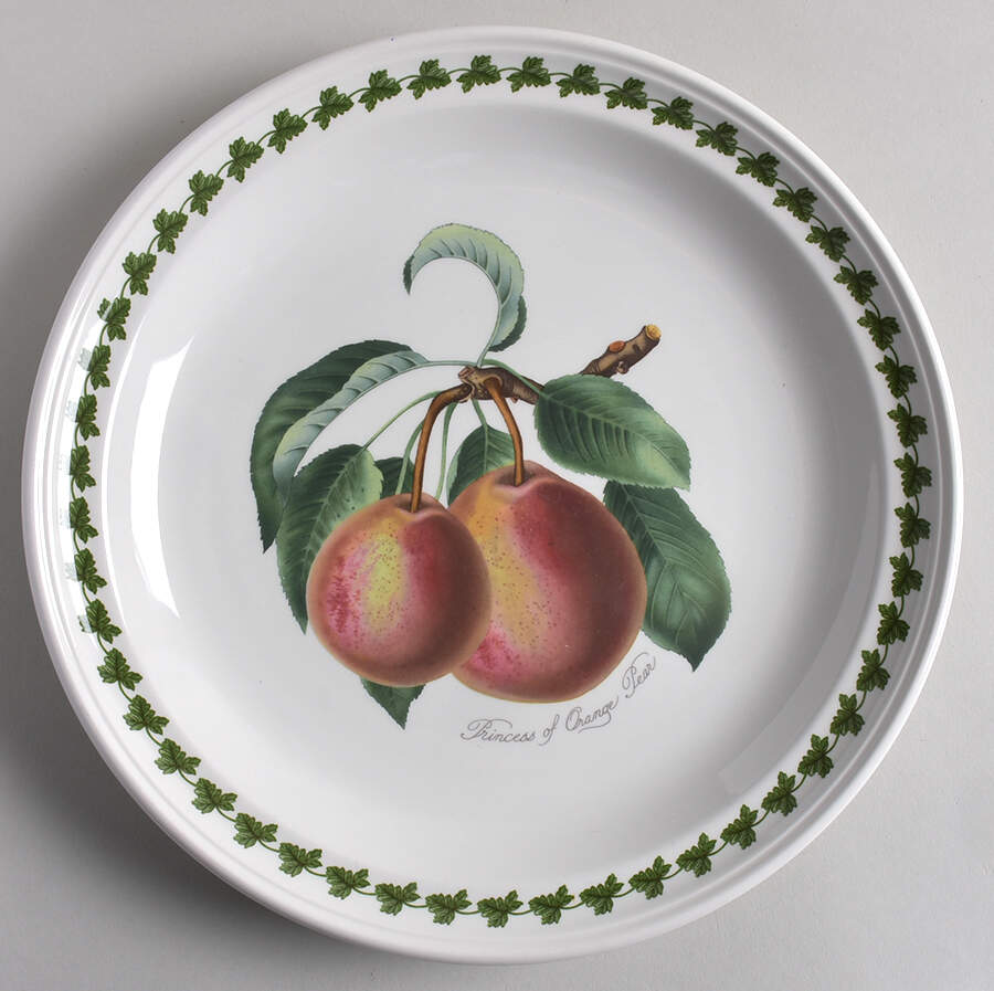 Pomona Dinner Plate w/Border Design by Portmeirion-1