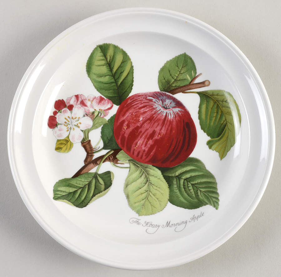 Pomona Salad Plate by Portmeirion-1