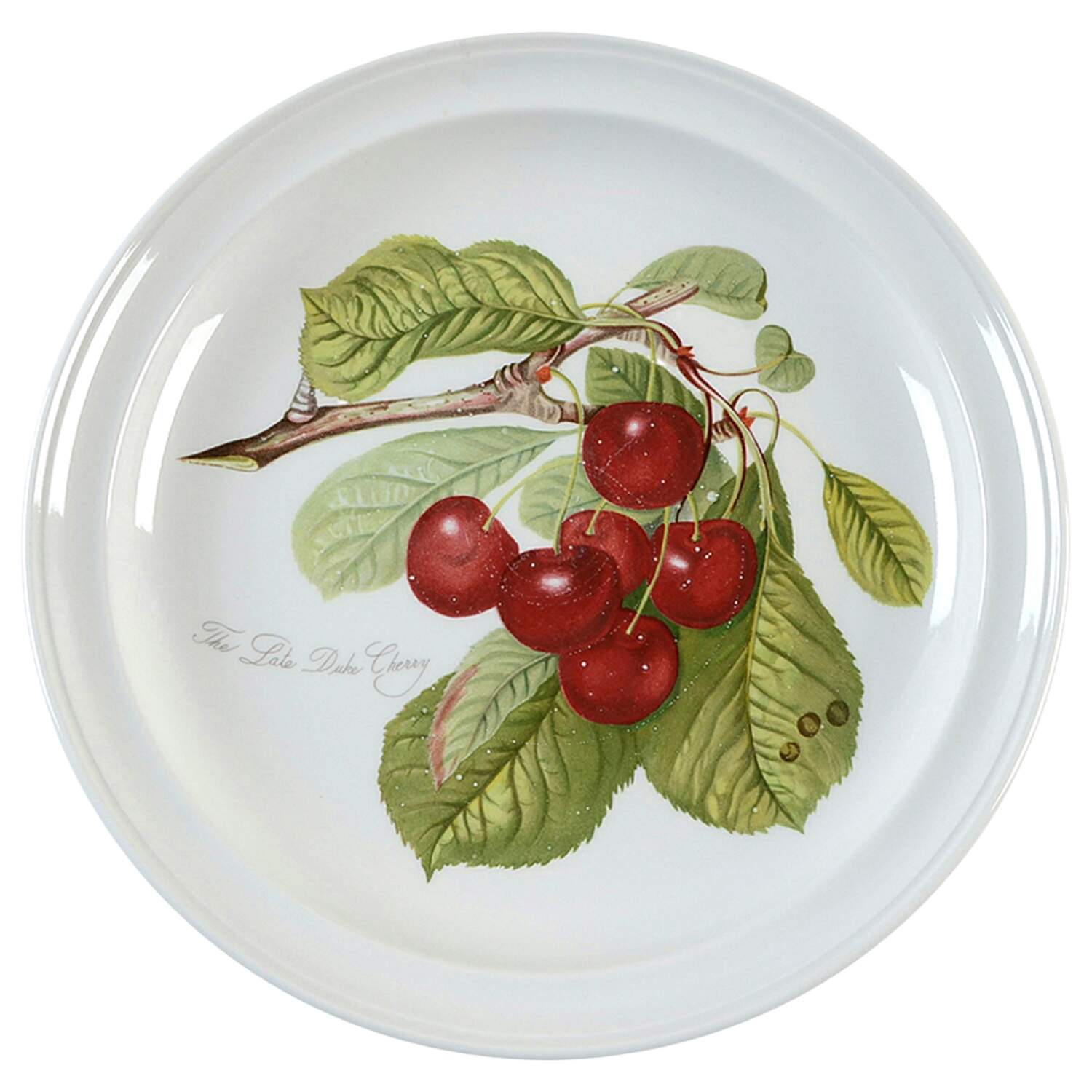 Pomona Dinner Plate by Portmeirion-1