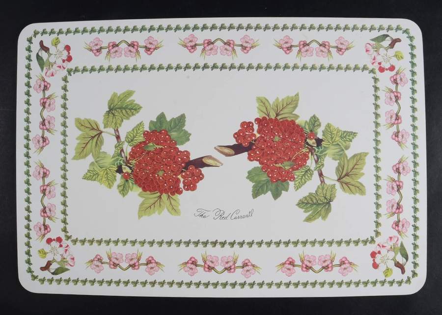 Pomona Corkboard Placemat by Portmeirion-1