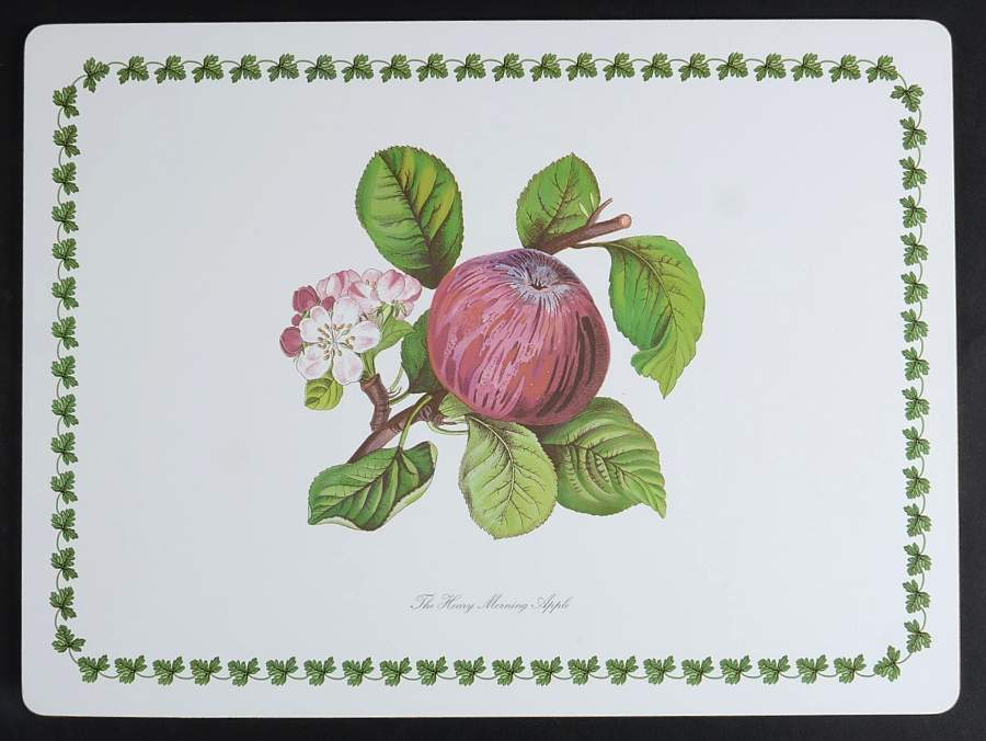 Pomona 1/8" Thick Corkboard Placemat by Portmeirion-1