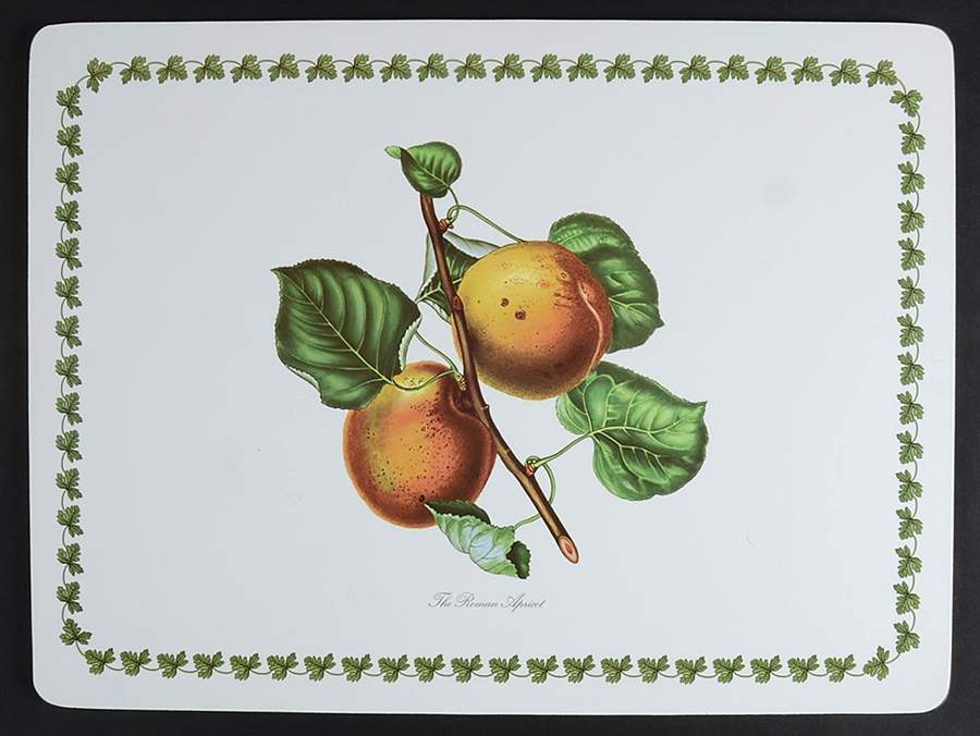 Pomona 1/4" Thick Corkboard Placemat by Portmeirion-1