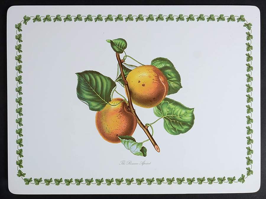 Pomona 1/8" Thick Corkboard Placemat by Portmeirion-1