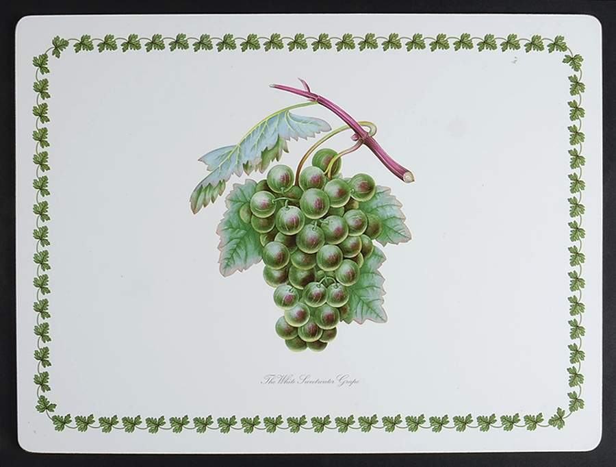 Pomona 1/8" Thick Corkboard Placemat by Portmeirion-1