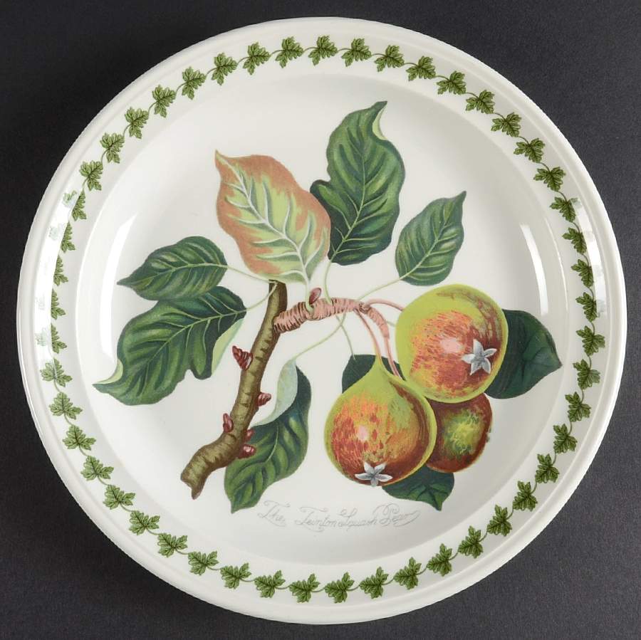 Pomona Large Design Salad Plate with Border by Portmeirion-1
