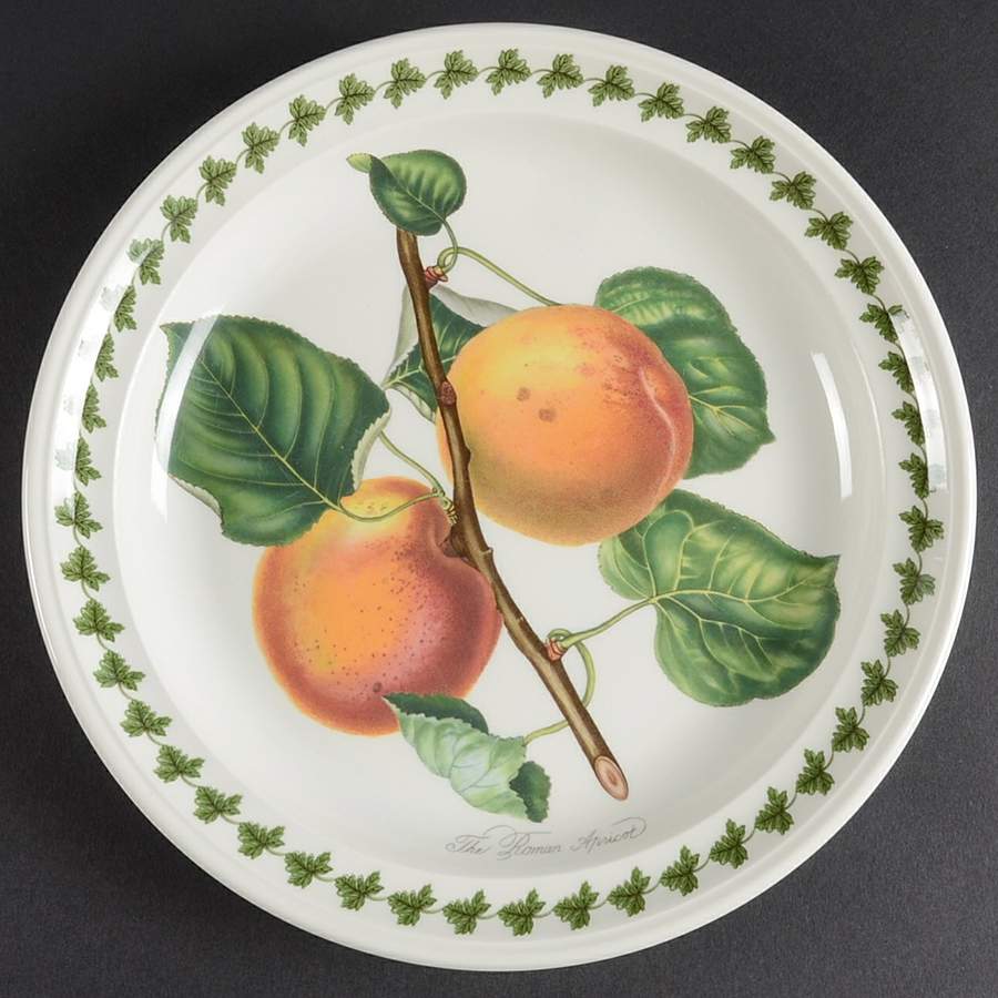 Pomona Large Design Salad Plate with Border by Portmeirion-1