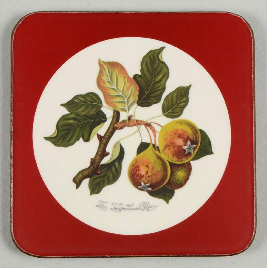Pomona Square Coaster w/Corkback & Red Border by Portmeirion-1